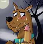  scooby scooby-doo tagme 