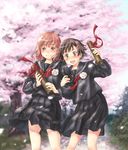  cherry_blossoms graduation multiple_girls original saimon school_uniform serafuku 