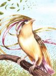  bird gen_1_pokemon leaf lowres no_humans pidgeot pokemon pokemon_(creature) realistic solo wind 