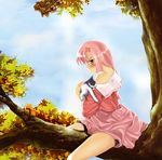  bad_id bad_pixiv_id bare_shoulders bike_shorts blush cat cruizer hayate_no_gotoku! in_tree katsura_hinagiku long_hair pink_hair skirt solo tree yellow_eyes 