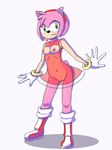  acperience amy_rose sonic_team tagme 
