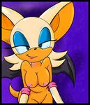  monkeycheese rouge_the_bat sonic_team tagme 
