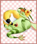  ampharos flygon porkyman shiroisora tagme 