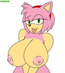  amy_rose habbodude sonic_team tagme 