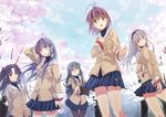  bad_id bad_pixiv_id clannad fujibayashi_kyou furukawa_nagisa hikarizaka_private_high_school_uniform ibuki_fuuko ichinose_kotomi multiple_girls pantyhose sakagami_tomoyo school_uniform starfish thighhighs tsubaki_itsuki 