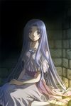  ancient_ys_vanished blue_hair feena_(ys) gem izumi_(izum00) jewelry long_hair looking_at_viewer necklace sandals sitting solo ys 