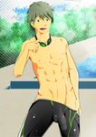  free! makoto_tachibana tagme 