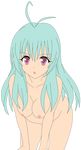  akakit run_elsie_jewelria tagme to_love-ru 