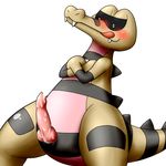  anthro blush bm_proto_06 crocodile crossed_arms erection krokorok looking_at_viewer male nintendo penis plain_background pok&#233;mon porkyman reptile scalie solo video_games white_background 