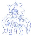  hearlesssoul queen_aleena sonic_team sonic_underground tagme 