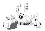  ... animal black_cat calico_(pattern) calico_cat cat commentary_request greyscale karinto_yamada looking_at_another monochrome no_humans original raccoon siamese_cat sitting tabby_cat tanuki translation_request white_background 