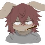 1:1 angry anthro blush blush_lines clothing floppy_ears fur grey_clothing grey_shirt grey_topwear hair icon lagomorph leporid male mammal pocky_in_mouth rabbit red_hair shirt si_ra_ta_ma3 siratama solo tan_body tan_fur topwear