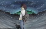  brown_hair green_eyes kiba snow wolfs_rain 