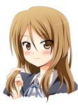  bad_id bad_pixiv_id blush brown_eyes brown_hair extra k-on! long_hair school_uniform solo tachibana_himeko uraichishi 