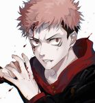  1boy absurdres black_jacket bleeding blood blood_on_face blood_on_hands brown_eyes buttons chinese_commentary clenched_teeth facial_mark fighting_stance fingernails gakuran hands_up highres hood hood_down hoodie injury itadori_yuuji jacket jujutsu_kaisen long_sleeves looking_at_viewer male_focus nidexintu own_hands_together parted_lips pink_hair red_hoodie school_uniform short_hair simple_background solo spiked_hair teeth undercut upper_body white_background 