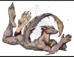 2025 anthro big_tail black_bars capcom claws ears fan_character fanged_wyvern feet foot_focus full_pad fuse_(razim) grey_body grey_scales kredri letterbox lunagaron male monster_hunter nude nude_anthro nude_male orange_body orange_eyes orange_scales padded_palms paws scales scalie spikes tail tobi-kadachi tobi-lunagaron toe_claws wrinkled_feet wrinkles