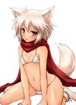  :o ahoge animal_ears bikini blush breasts cameltoe covered_nipples inubashiri_momiji looking_at_viewer micro_bikini navel negija red_eyes scarf short_hair simple_background sitting sketch small_breasts solo sweat swimsuit tail touhou wariza white_background white_bikini white_hair wolf_ears wolf_tail 