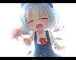  akisha bad_id bad_pixiv_id blue_hair bow cirno closed_eyes fang flower hair_bow ice open_mouth short_hair smile solo touhou wings 
