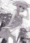  90i ayanami_rei bare_shoulders dress from_below greyscale hat looking_at_viewer looking_down monochrome neon_genesis_evangelion outdoors plant see-through sketch sleeveless sleeveless_dress solo sun_hat sundress tree walking 