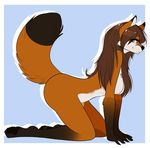  aimi all_fours anthro barefoot black_fur black_nose black_pawpads blue_background blue_eyes breasts brown_fur brown_hair canine female fox fur hair hindpaw long_hair looking_at_viewer mammal markings multicolor_fur nude orange_fur paws plain_background pose seductive side_view smile socks_(marking) solo spoonyfox thighs two_tone_fur 