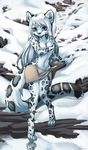  blue_eyes feline female hair leopard long_hair mammal navel pollo-chan snow snow_leopard solo white_hair 