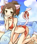  all_fours animal_ears barefoot beach bikini blush breasts brown_eyes brown_hair cat_ears cat_tail cleavage cloud day fangs fish idolmaster idolmaster_cinderella_girls maekawa_miku medium_breasts open_mouth outdoors ponytail red_bikini short_hair side-tie_bikini sketch sky solo swimsuit tail tilm 