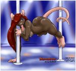  anthro balls breasts butt dancing dickgirl hair intersex ken_sample long_hair male mammal mouse muscles nude penis pole pole_dancing pose rat rodent solo tongue tongue_out wolfkidd 