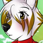  ambiguous_gender avante black_nose blush brown_hair clothed clothing fur green_background hair icon looking_at_viewer plain_background two_tone-hair two_tone_hair white_fur white_hair wolflady 