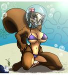  big_breasts bikini breasts buckteeth clothing female helmet itt0ryu mammal plankton rodent sandy_cheeks spongebob_squarepants squirrel swimsuit tight_clothing underwater water 