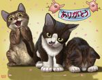  banner cat cat_focus cherry_blossoms commentary kitten looking_at_viewer matataku monita_(matataku) no_humans original petals pig signature 