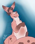  anthro big_ears black_hair black_nose blush breast_squish breasts canine chloe_(resua) eyes_closed female fennec fox fur grey_fur hair hindpaw long_hair lying mammal nightfaux nude on_back paws pink_fur pregnant solo taur white_fur 