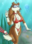  anthro canine cleavage clothed clothing colleen dog female mammal road_rovers rough_collie snorkeling strikersa swimsuit underwater water 