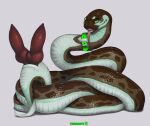  2_penises animal_genitalia animal_penis apode belly big_penis brown_body brown_scales canine_genitalia canine_penis cloaca cloacal_penis coiling collar collar_only digital_media_(artwork) female feral genitals green_collar green_eyes hemipenes hi_res horizontal_cloaca legless looking_at_viewer male markings multi_genitalia multi_penis nude open_mouth penis pink_tongue presenting presenting_hemipenes presenting_penis reptile scales scalie serpentine sheppermint simple_background snake solo teal_body teal_scales tongue tongue_out truegrave9 ventral_scales 