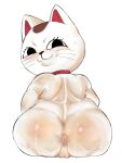 anthro anus big_butt black_eyes black_nose bodily_fluids butt collar dandadan domestic_cat eyelashes felid feline felis female fur genitals hi_res huge_butt looking_at_viewer looking_back looking_back_at_viewer mammal nude pincparti pussy rear_view short_stack simple_background solo sweat sweatdrop turbo_granny_(dandadan) whiskers white_background white_body white_fur wide_hips