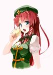  hong_meiling pomon_illust tagme touhou 