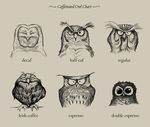  avian black_and_white coffee dave_mottram english_text looking_at_viewer monochrome owl text 