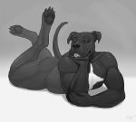 anthro boxer_(dog) canid canine canis dog greyscale half-closed_eyes lying male mammal monochrome muscular muscular_male nude on_front pawpads paws pig_(artist) seductive smile solo tongue tongue_out 