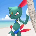  1girl beach bikini claws feathers female looking_at_viewer lowres nintendo pok&#233;mon pok&eacute;mon pokemon red_eyes seaside sneasel solo standing swimsuit video_games wool13 