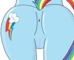  big_butt butt cutie_mark equine fableiii female friendship_is_magic horse mammal my_little_pony pegasus pony presenting presenting_hindquarters pussy rainbow_dash_(mlp) solo wings 