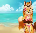  2013 beach bikini canine chibi-marrow cute flower flower_in_hair fox from_behind outside seaside tight_clothing wolf 