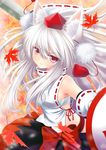  animal_ears inubashiri_momiji inumimi ookami_ryuu sarashi sword touhou 