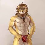  ainro anthro biceps big_muscles black_nose brown_fur brown_hair bulge chest_tuft feline fur green_eyes grey_background hair lion male mammal muscles nipples pecs plain_background presenting solo speedo standing swimsuit topless tuft underwear white_fur yellow_fur 