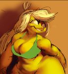  anthrofied applejack_(mlp) bikini breasts chubby cleavage clothed clothing equine female friendship_is_magic horse mammal my_little_pony pointblankfluffpistol pony shemhamferosh solo swimsuit thighs tight_clothing wide_hips 