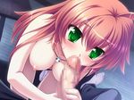  1girl breasts censored fellatio green_eyes mosaic_censoring nipples oda_nobunaga_(ouka_sengoku) oral ouka_sengoku penis pink_hair socks 
