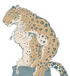  anthro biceps black_fur body_markings brown_fur chest_tuft clothing dog_tags feline fur giraffe_(artist) grey_eyes leopard looking_at_viewer male mammal markings muscles necklace pants pecs plain_background pose solo spots standing tan_fur topless tuft undressing unknown_artist white_background 