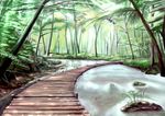  forest nature no_humans scenery still_life stream tsubasa_(abchipika) water 