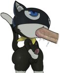 animal_humanoid anthro balls big_butt black_body black_fur blue_eyes bodily_fluids butt chest_tuft disembodied_penis domestic_cat dulone erection felid felid_humanoid feline feline_humanoid felis fellatio fur genital_fluids genitals hi_res human humanoid humanoid_genitalia humanoid_penis kerchief male male/male mammal mammal_humanoid markings mask masturbation morgana_(persona) nipples oral penile penis penis_size_difference persona_(series) persona_5 precum sex sloppy_blowjob small_balls small_penis tail tail_markings teapot_(body_type) thick_thighs tongue tongue_out tuft tuxedo_cat white_body white_fur wide_hips