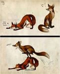  ass_up canine comic english_text fox fun humor playing text unknown_artist 