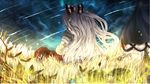  bow from_behind fujiwara_no_mokou hair_bow kamishirasawa_keine long_hair multiple_girls night shooting_star sitting solo_focus touhou touro white_hair 