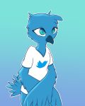  2019 a-signature anthro avian beak bird bottomless cheek_tuft clothed clothing crossed_arms feathered_wings feathers female head_tuft logo simple_background solo standing tail_feathers teal_eyes tuft tweetfur twitter winged_arms wings 
